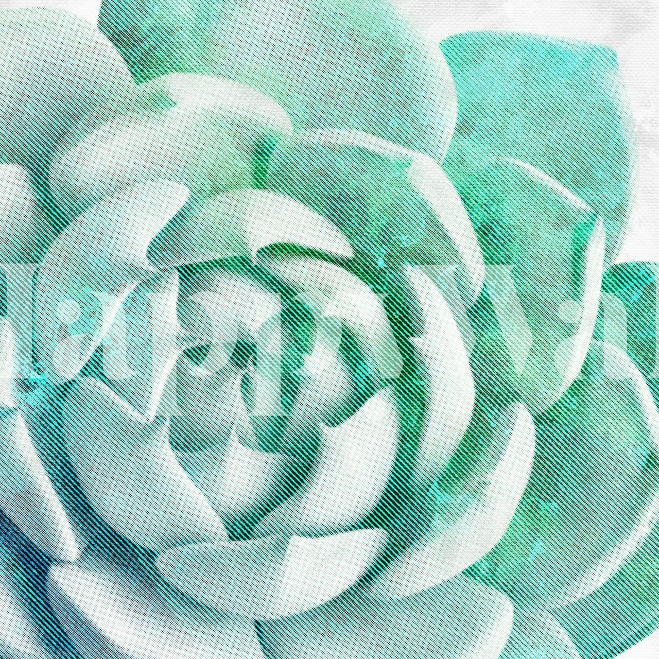 Rough Beauty 1 wallpaper displayed in a room