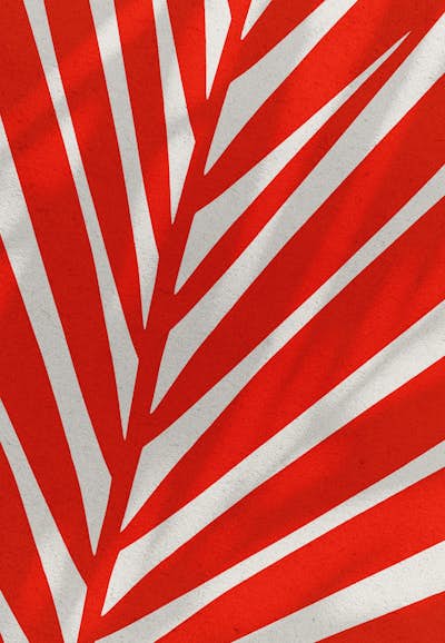 Τοιχογραφία