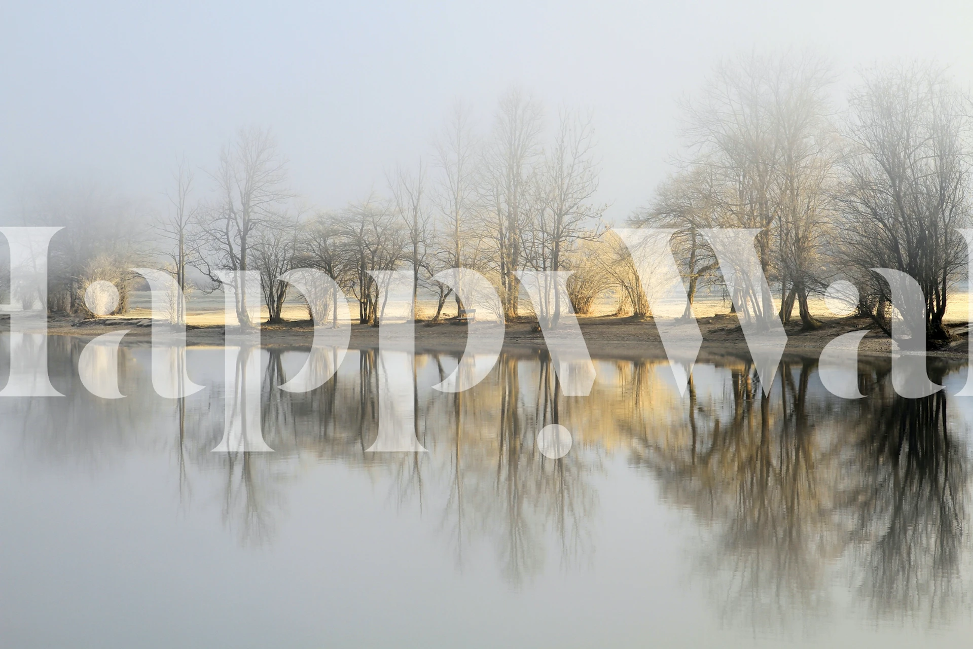 Foggy tree reflections in calm water, nature wallpaper
