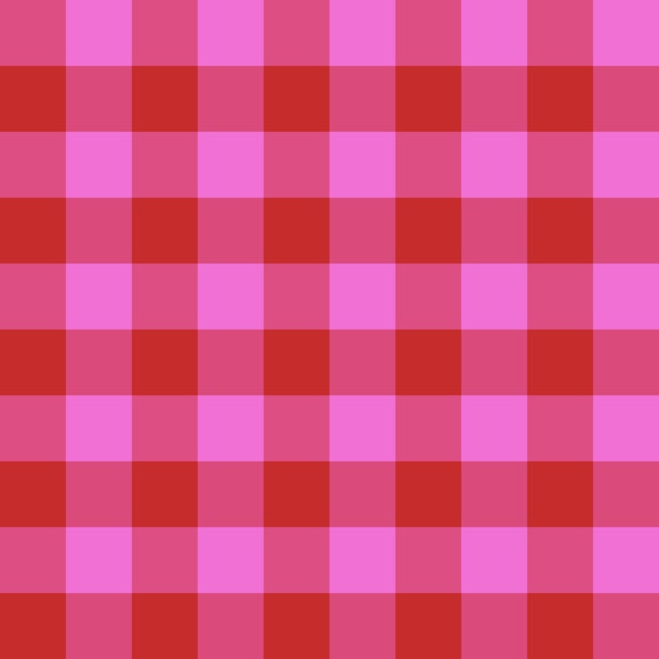 Vibrant Pink and Red Gingham Checkered