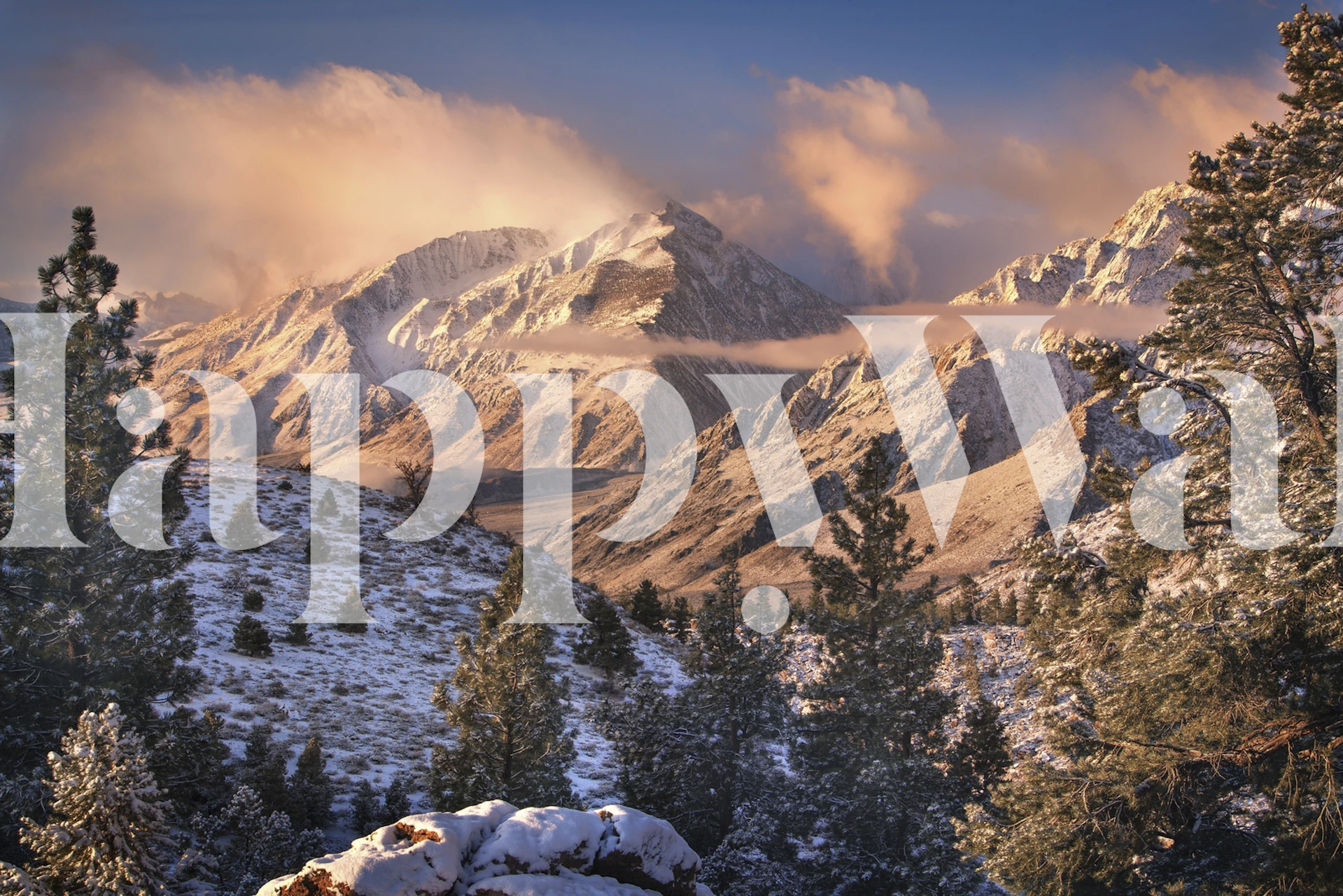 Mountain Light-tapetti huoneessa