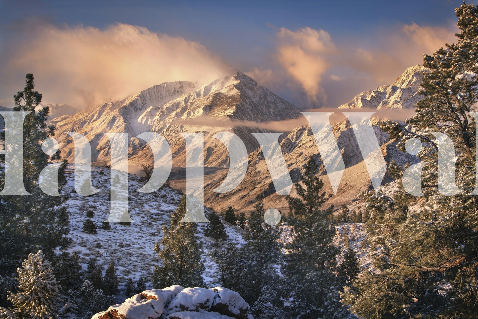 Mountain Light tapet i et rom