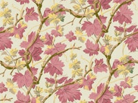 echoes of the vineyard orchid pink papiers peint