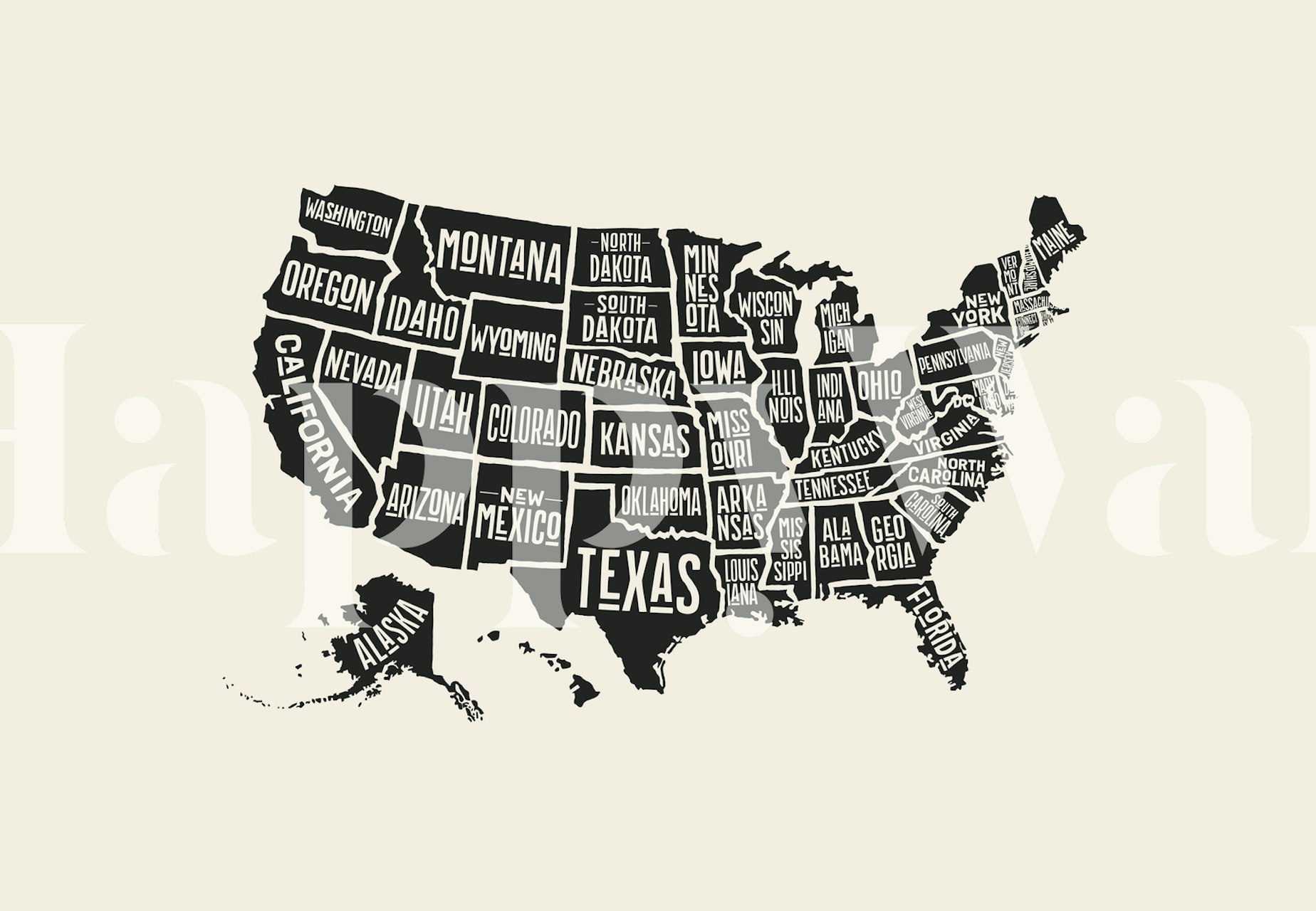 Black and white USA map with state names wallpaper