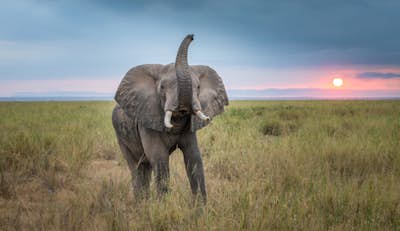 Τοιχογραφία