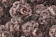 Lush Flower Reverie Blush Pink Peach