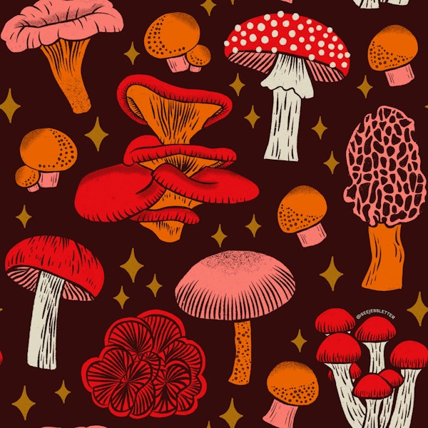 Woodland Mushrooms
