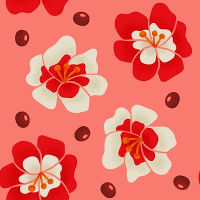 Pattern