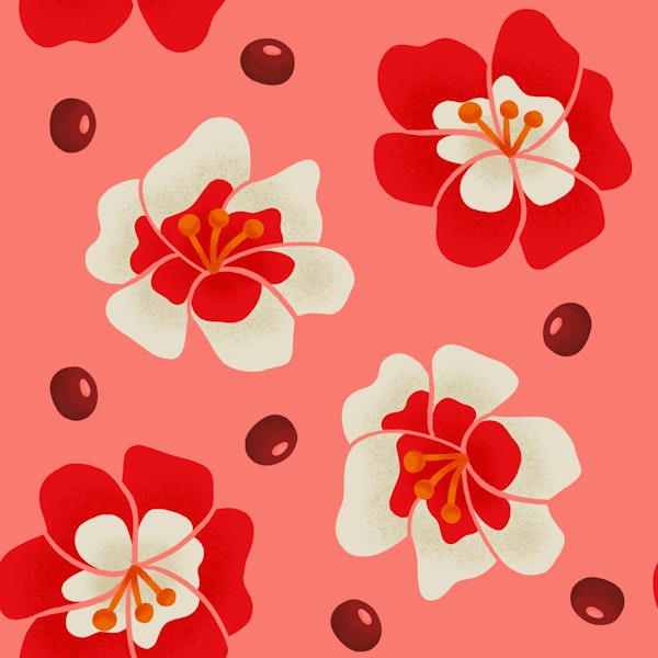 Red and White Floers