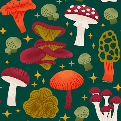 Pattern