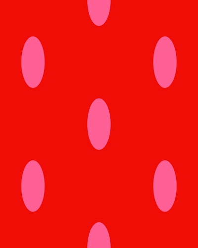 Modello