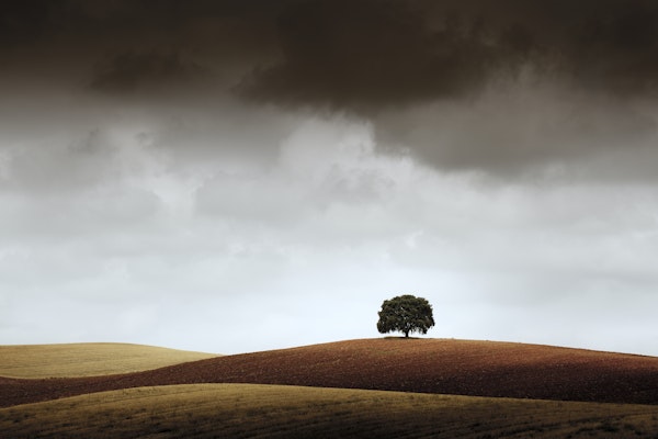 Tuve Que Pararme al Verla