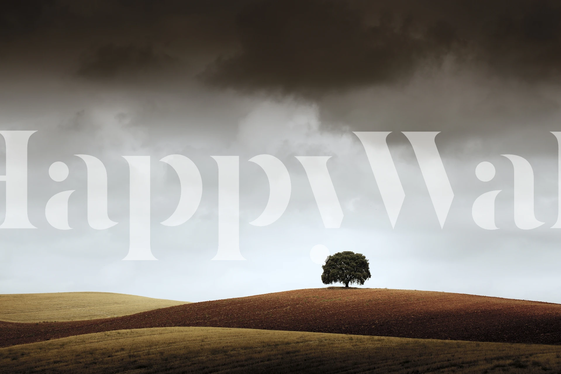 Lonely tree on hills under a cloudy sky wallpaper