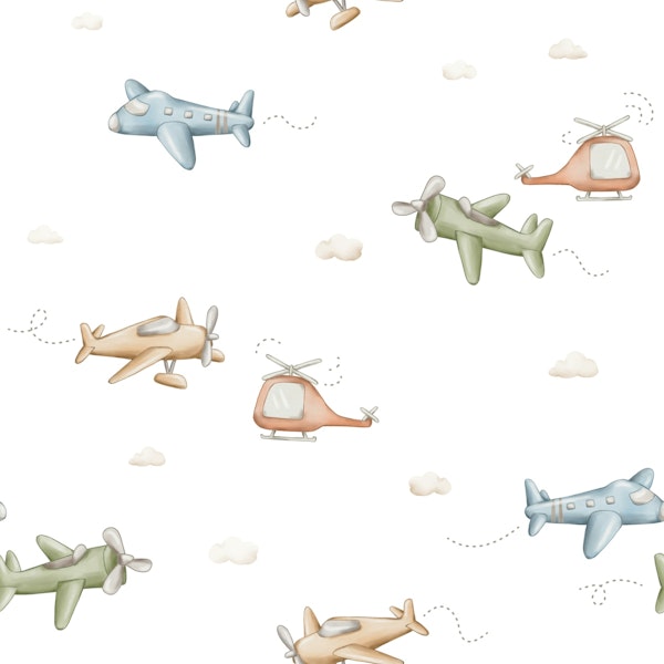 Aviation Adventure in White