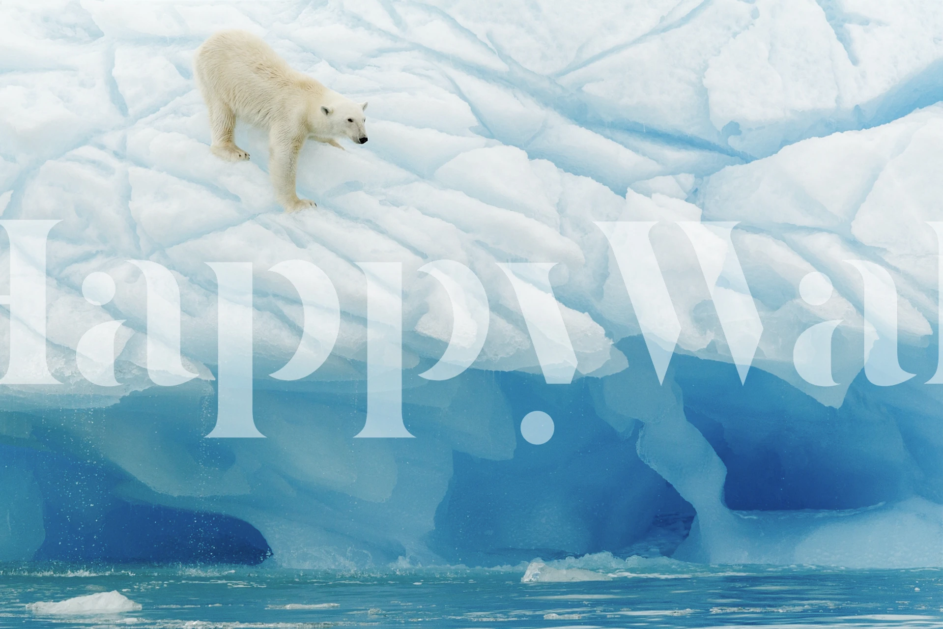 Polar bear on icebergs in icy blue tones wallpaper