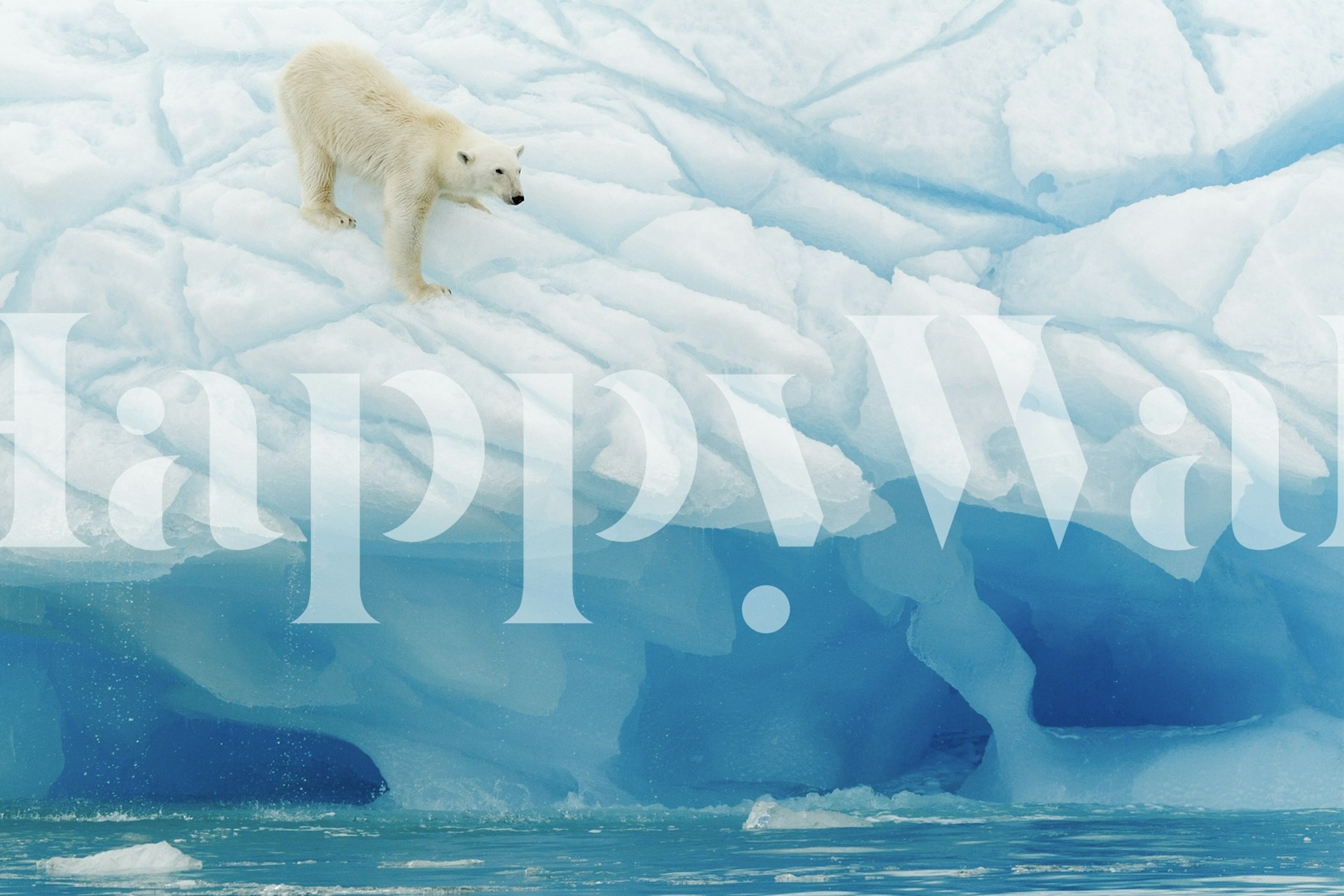 Polar bear on icebergs in icy blue tones wallpaper
