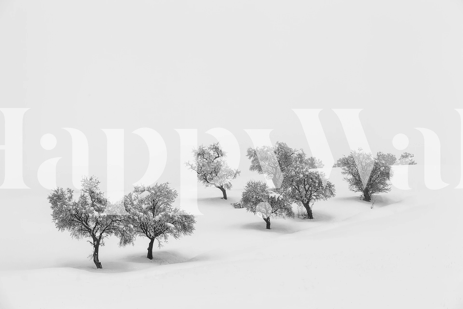 White Carpet wallpaper design in a room