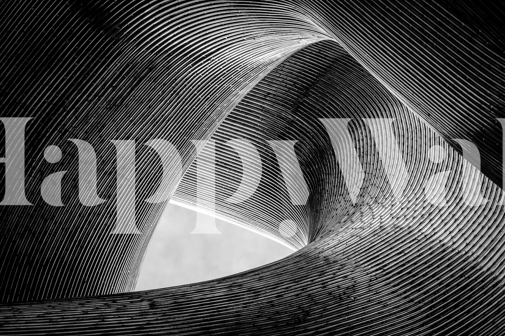 Intricate black and white linear pattern wallpaper