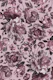 Dark Academia Opulent Flower Drama Pink