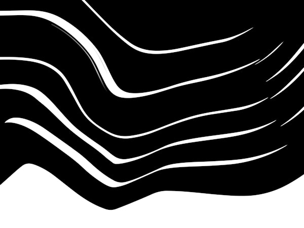 Organic 10 | Black & White Minimalism
