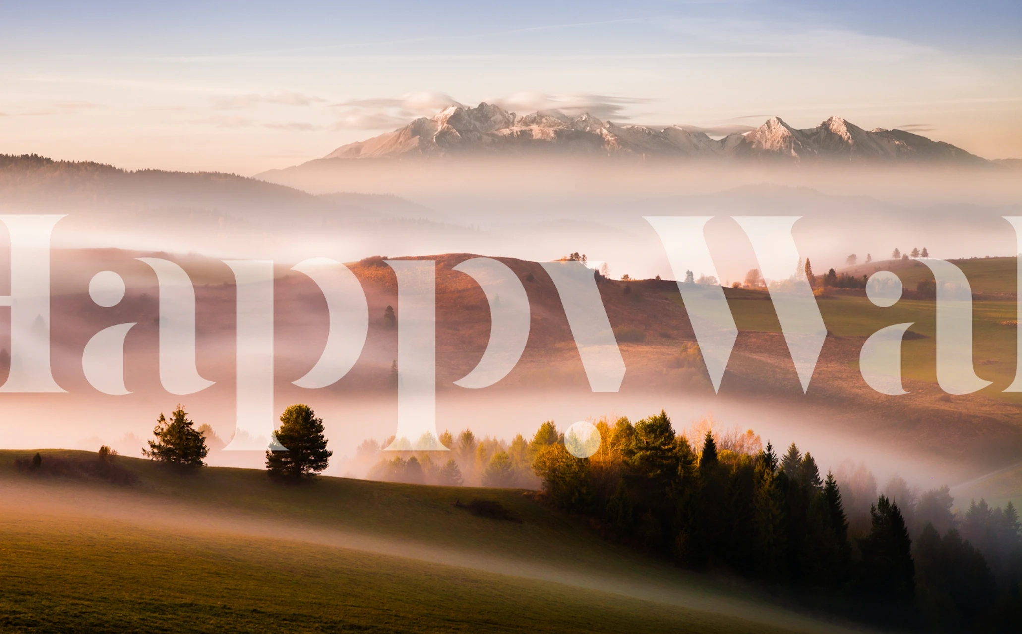 Papier peint paysage brumeux avec des arbres et des teintes chaudes du lever du soleil