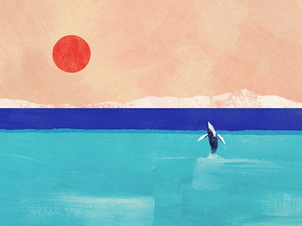 Leaping Whale at Sunset