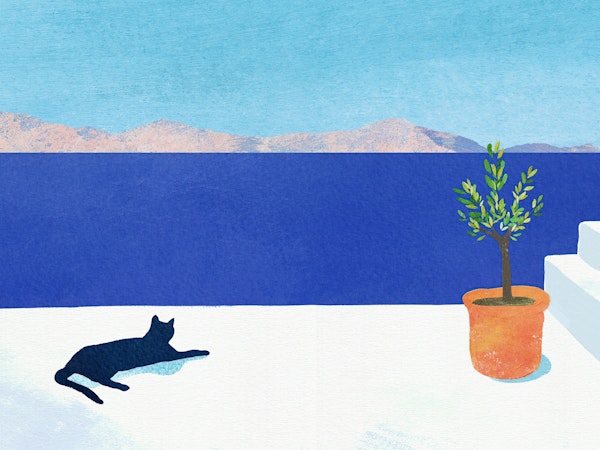 Mediterranean Serenity