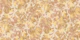 Tropicana Texture in Golden Shortbread