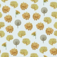 Watercolour Dandelion - White tapet