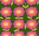 Flower Power Granny Vibes