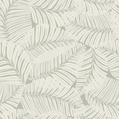 Muster