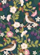 Briar Rose, Blackberries and Song Thrushes