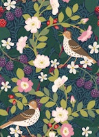 Briar Rose, Blackberries and Song Thrush S wallpaper