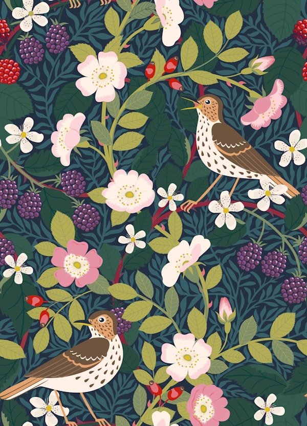 Briar Rose, Blackberries and Song Thrush S