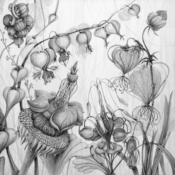 Secrets of paradise meadow