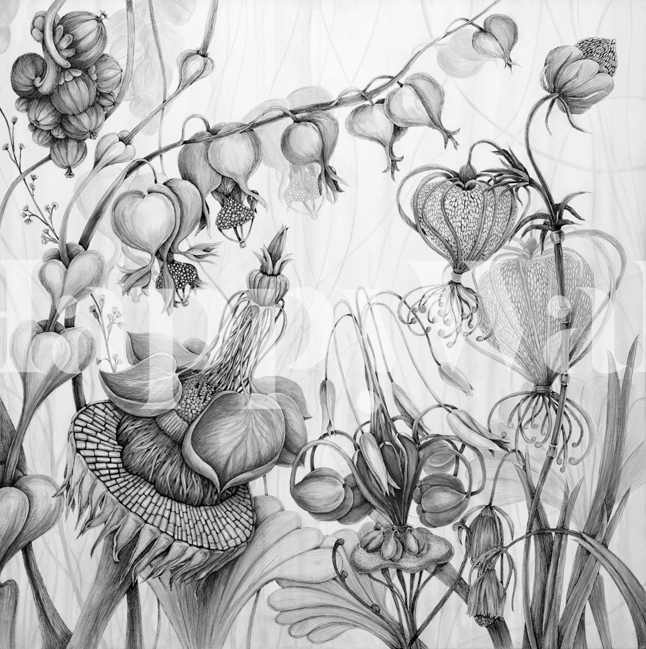Detailed black and white floral wallpaper with various plant motifs and soft textures.