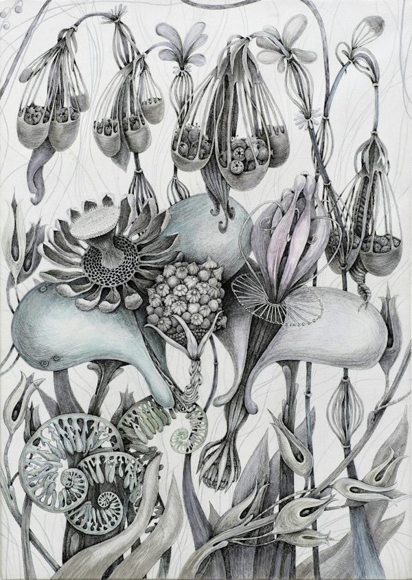 Mystical Plant Scene