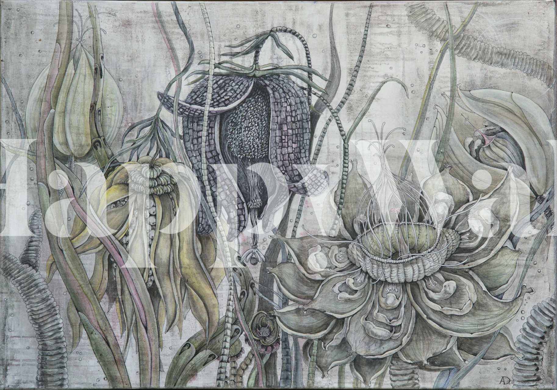 Dream flowers fantasy tapeta v pokoji