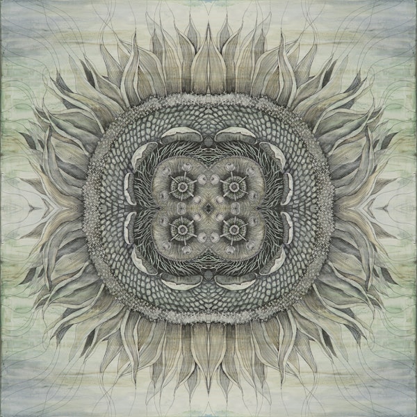 Sun-Kissed Sunflower Harmony