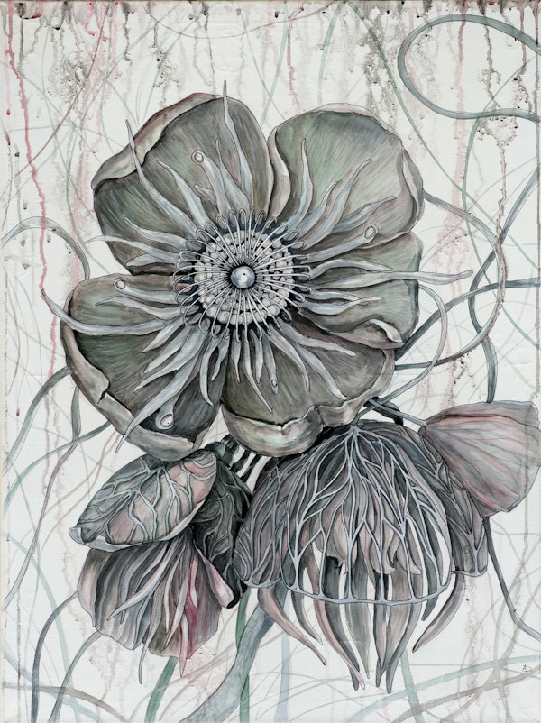Graceful Hellebore Artistry
