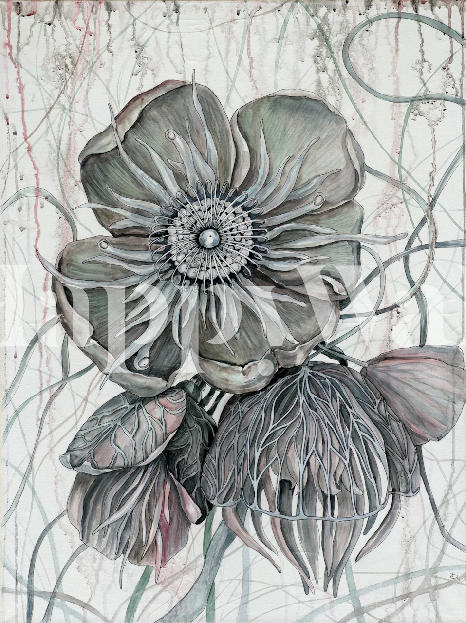 Gray hellebore floral wallpaper with intricate details