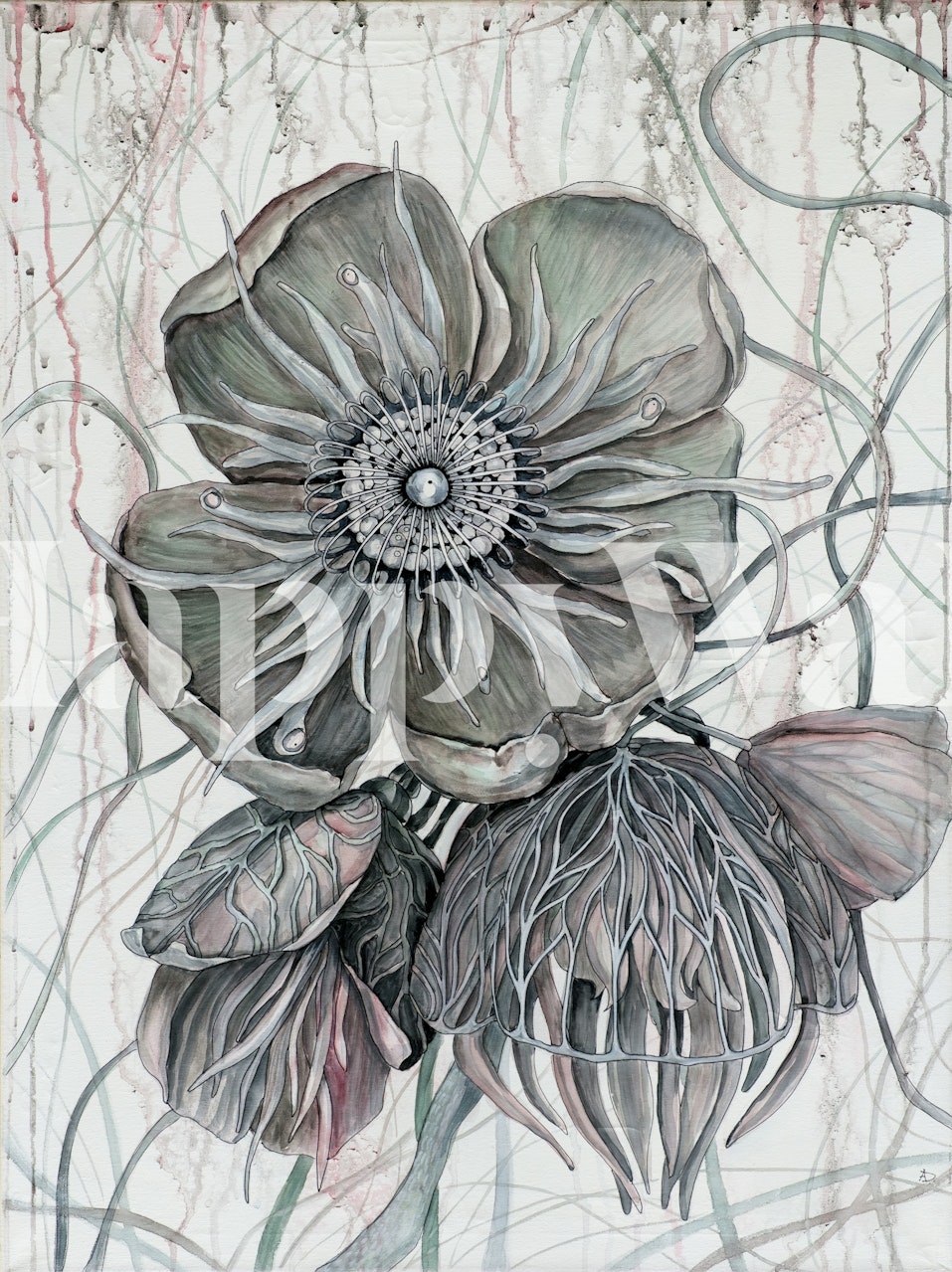 Gray hellebore floral wallpaper with intricate details