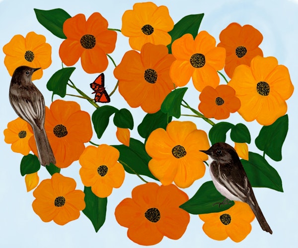 Phoebes in the Flower Garden