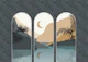 Moonlit Tropical Scene