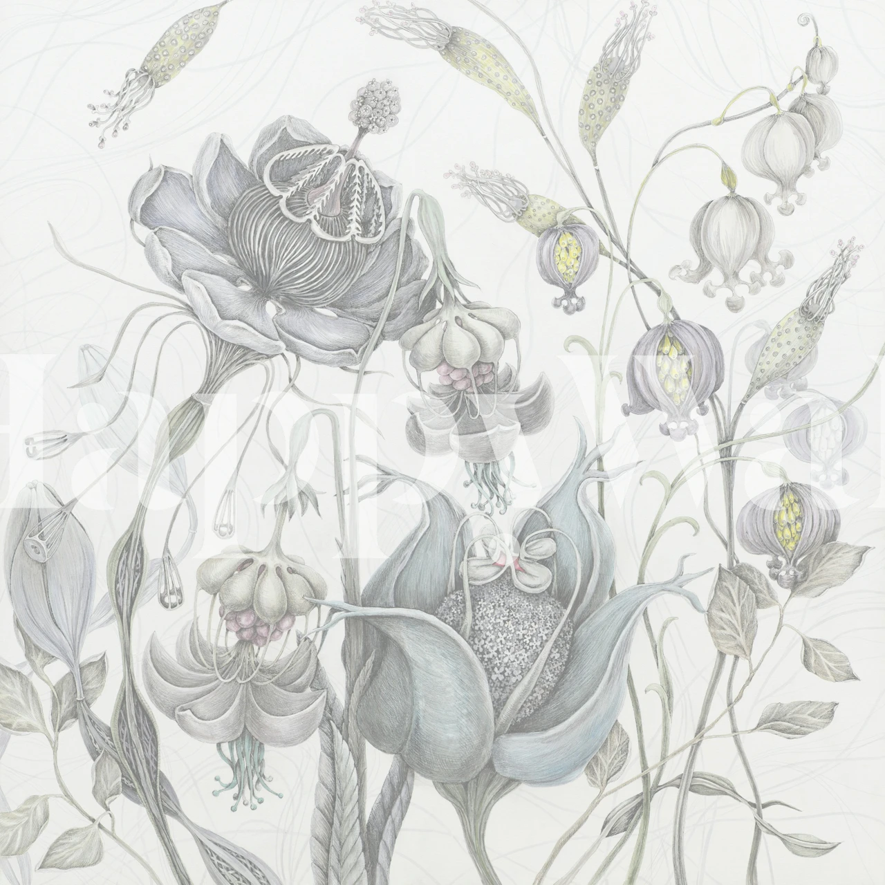 White and gray floral design wallpaper with delicate botanical illustrations