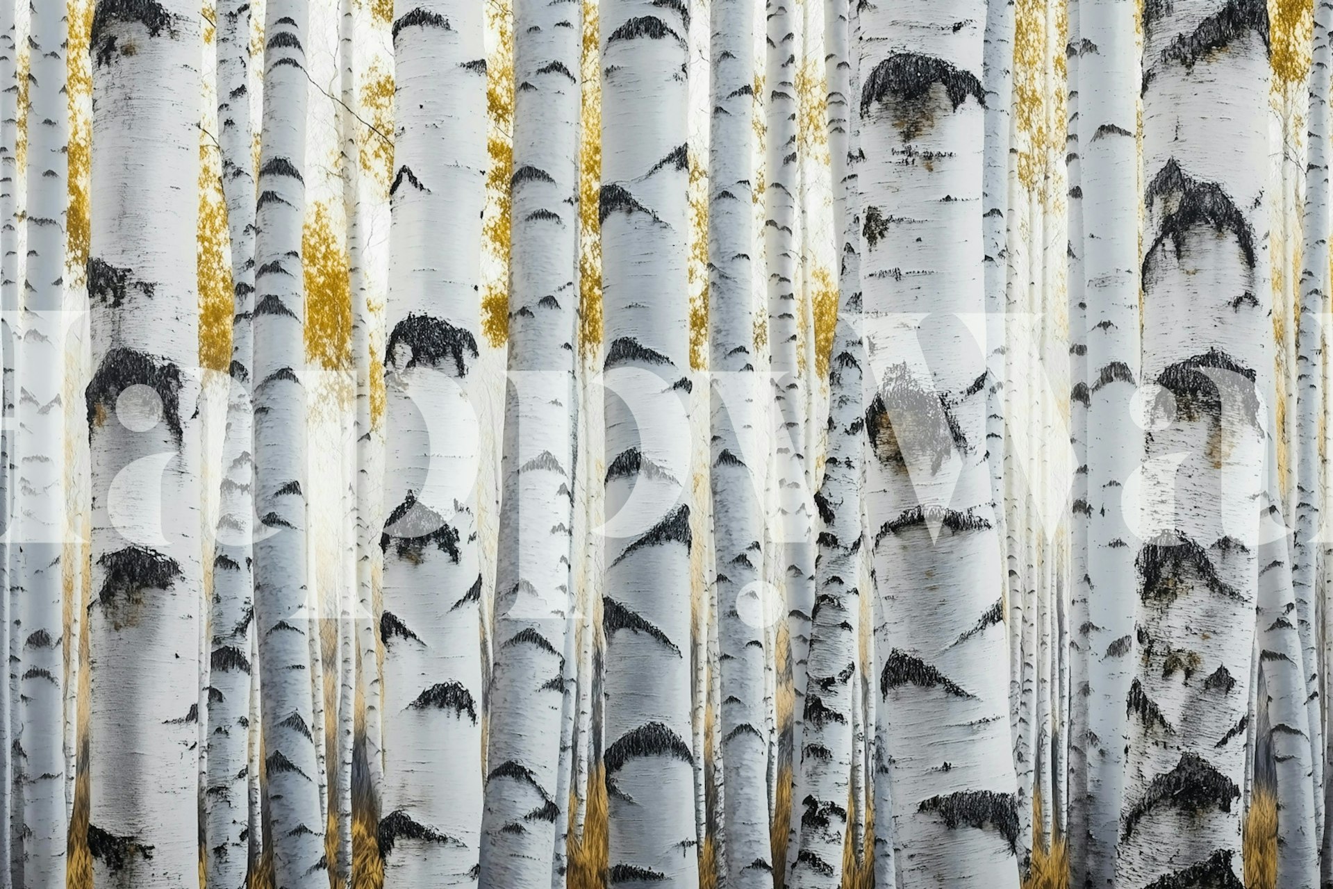 Birch trees with gold accents and white bark wallpaper