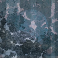 Mystical Leafy Shadows papel de parede