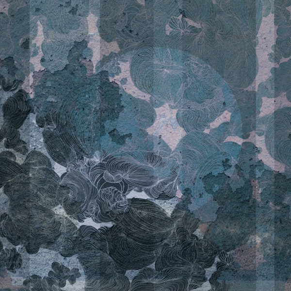 Mystical Leafy Shadows