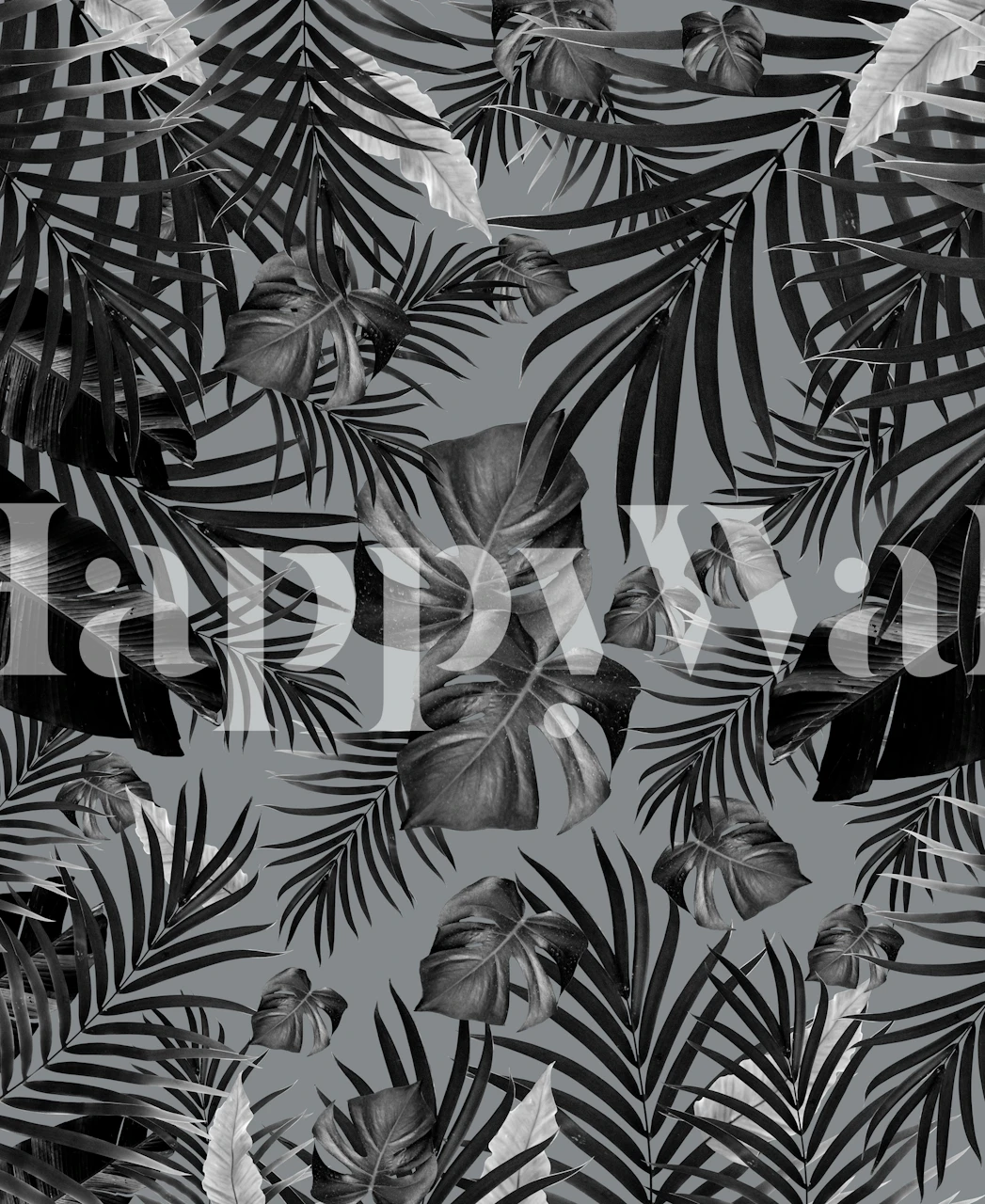 Monokrom tropisk bladmønster vægmaleri til indretning