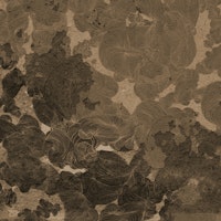 Rustic Botanical Dream wallpaper